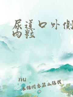 尿道口外侧长小肉粒