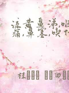 流黄鼻涕,咽喉痛,鼻塞,吃什么药