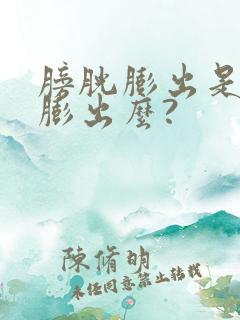 膀胱膨出是前壁膨出么?