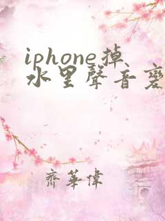 iphone掉水里声音变小