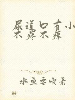 尿道口有小疙瘩不疼不痒