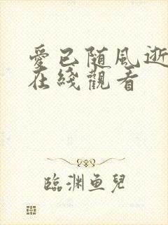 爱已随风逝短剧在线观看