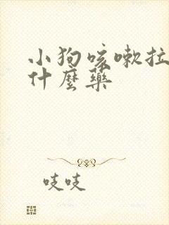 小狗咳嗽拉稀吃什么药