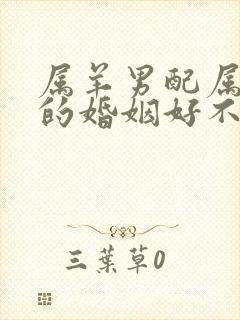 属羊男配属狗女的婚姻好不好