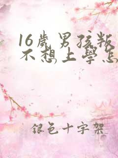 16岁男孩叛逆不想上学怎么办