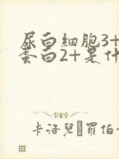 尿白细胞3+尿蛋白2+是什么意思