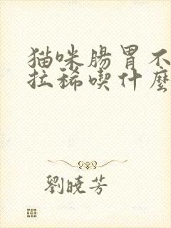 猫咪肠胃不好总拉稀吃什么药