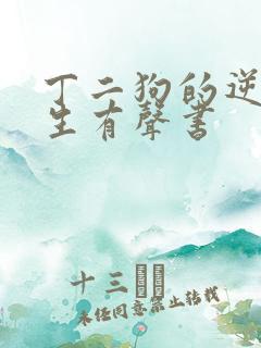 丁二狗的逆袭人生有声书