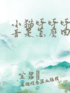 小猫呼呼呼的声音是怎么回事