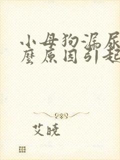 小母狗漏尿是什么原因引起的