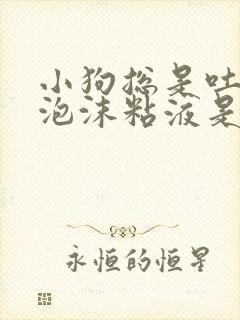 小狗总是吐白色泡沫粘液是怎么回事