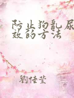 防止狗乱尿最有效的方法