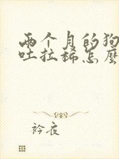 两个月的狗狗呕吐拉稀怎么办