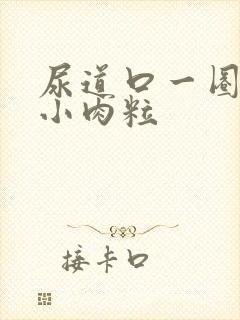 尿道口一圈白色小肉粒