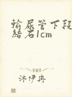 输尿管下段出现结石1cm