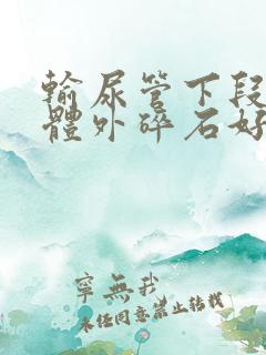 输尿管下段结石体外碎石好吗