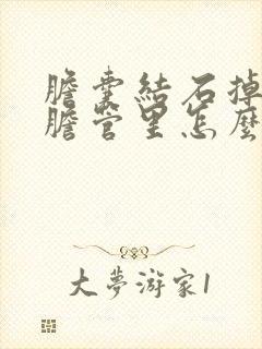 胆囊结石掉到总胆管里怎么治