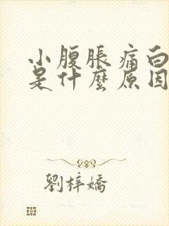 小腹胀痛白带多是什么原因