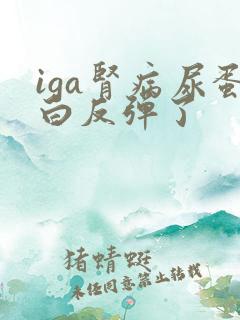 iga肾病尿蛋白反弹了