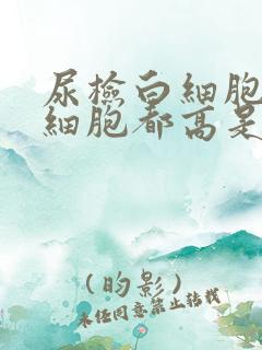 尿检白细胞和红细胞都高是怎么回事