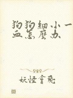 狗狗细小一直拉血怎么办