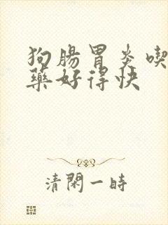 狗肠胃炎吃什么药好得快