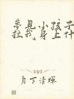 梦见小孩子拉便拉我身上什么预兆