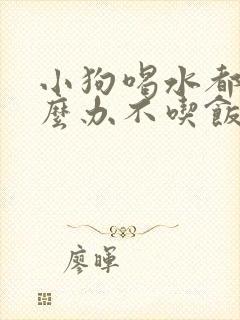 小狗喝水都吐怎么办不吃饭