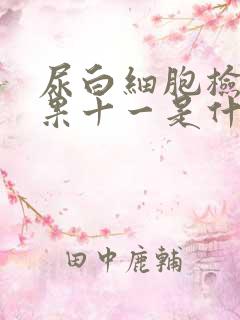 尿白细胞检查结果十一是什么意思