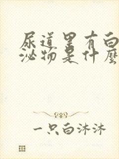 尿道里有白色分泌物是什么原因