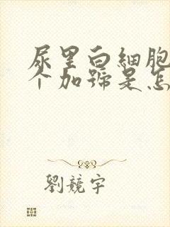 尿里白细胞有两个加号是怎么回事