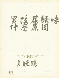 男孩尿骚味重是什么原因