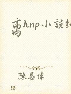 高hnp小说纯肉