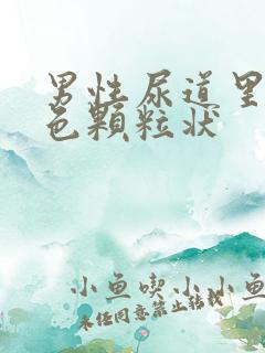 男性尿道里有白色颗粒状