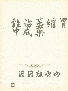 能治萎缩胃炎的中成药