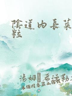 阴道内长菜花肉粒