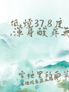 低烧37.8度,浑身酸疼无力