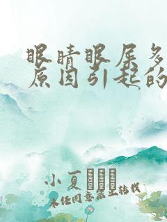 眼睛眼屎多是什原因引起的