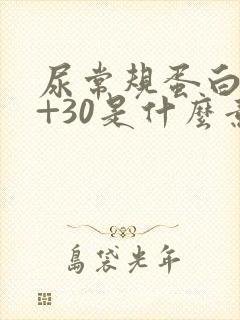 尿常规蛋白质1+30是什么意思