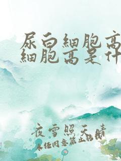 尿白细胞高尿红细胞高是什么原因