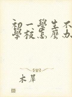 初一学生不想去学校怎么办