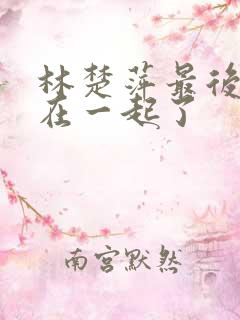 林楚萍最后和谁在一起了