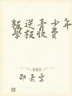 叛逆青少年封闭学校收费