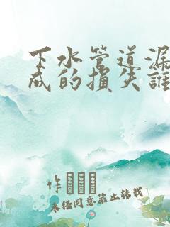 下水管道漏水造成的损失谁承担