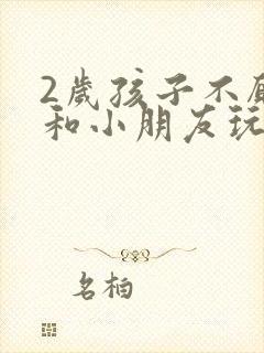 2岁孩子不愿意和小朋友玩怎么回事