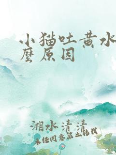 小猫吐黄水是什么原因