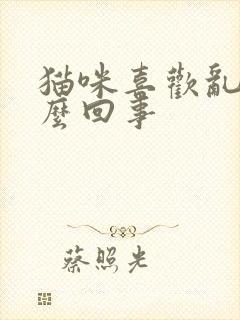 猫咪喜欢乱尿怎么回事