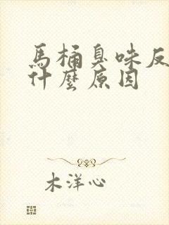 马桶臭味反上来什么原因