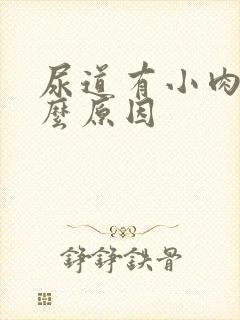 尿道有小肉芽什么原因