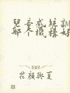 儿童感统训练在哪个机构好